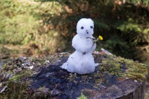 Schneemann mit Blume im Frühling. Foto: AdobeStock©-Felix-von-Vietsch.jpeg