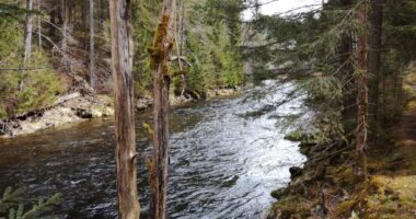 Flusswanderweg von Bayerisch Eisenstein nach Regen – ist er Deutschlands schönster Wanderweg?